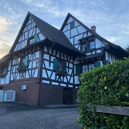Basler Ferienwohnung Offenburg Exterior foto